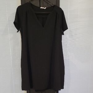 Lush Black Mini Dress